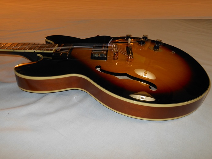 ES-345 Triburst Picture 12